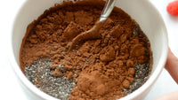 Maine Roast Protein Coffee